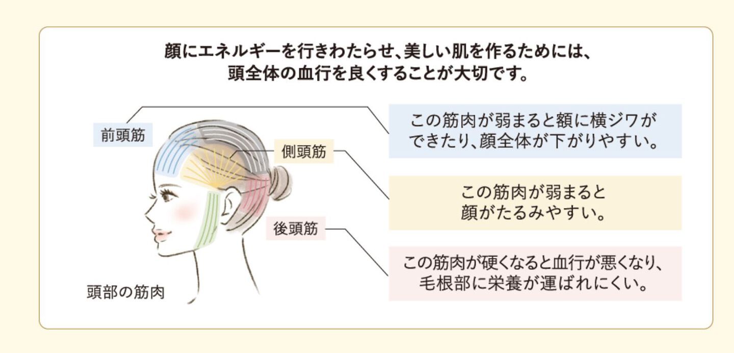 奈良　クリームバス